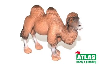 Obrázek z Velbloud 11cm 